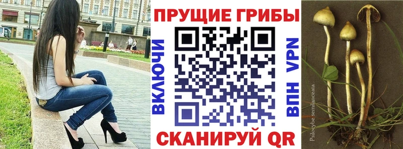 Псилоцибиновые грибы ЛСД  kraken   Елец 