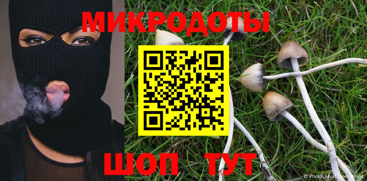 Галлюциногенные грибы ЛСД Елец